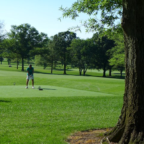 2016 Spring Golf
